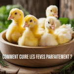 cuire feves bol de feves fraiches ecossees