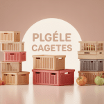cagettes pour stockage, transport et déco
