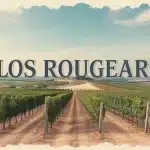 Vignoble Clos Rougeard terroir argilo-calcaire Saumur
