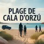 Illustration vectorielle plage de Cala d Orzu avec maquis et eau cristalline