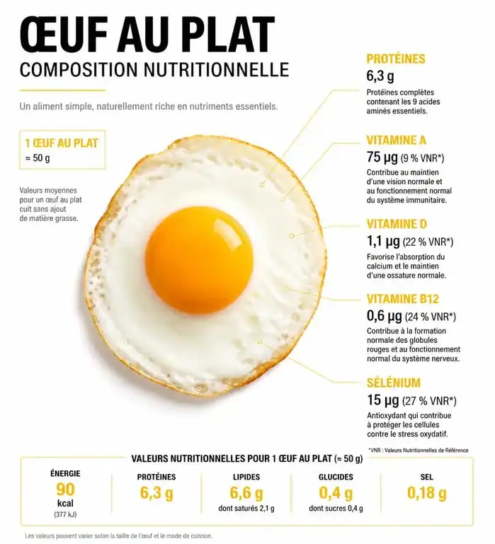 Infographie nutritionnelle : calories et bienfaits d'un œuf au plat pour la santé